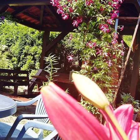 Bed & Breakfast Cyklada, Sniadania, Jezioro,Przystan,Tawerna -200M, Park Linowy-400M, Centrum,Aquapark-900M